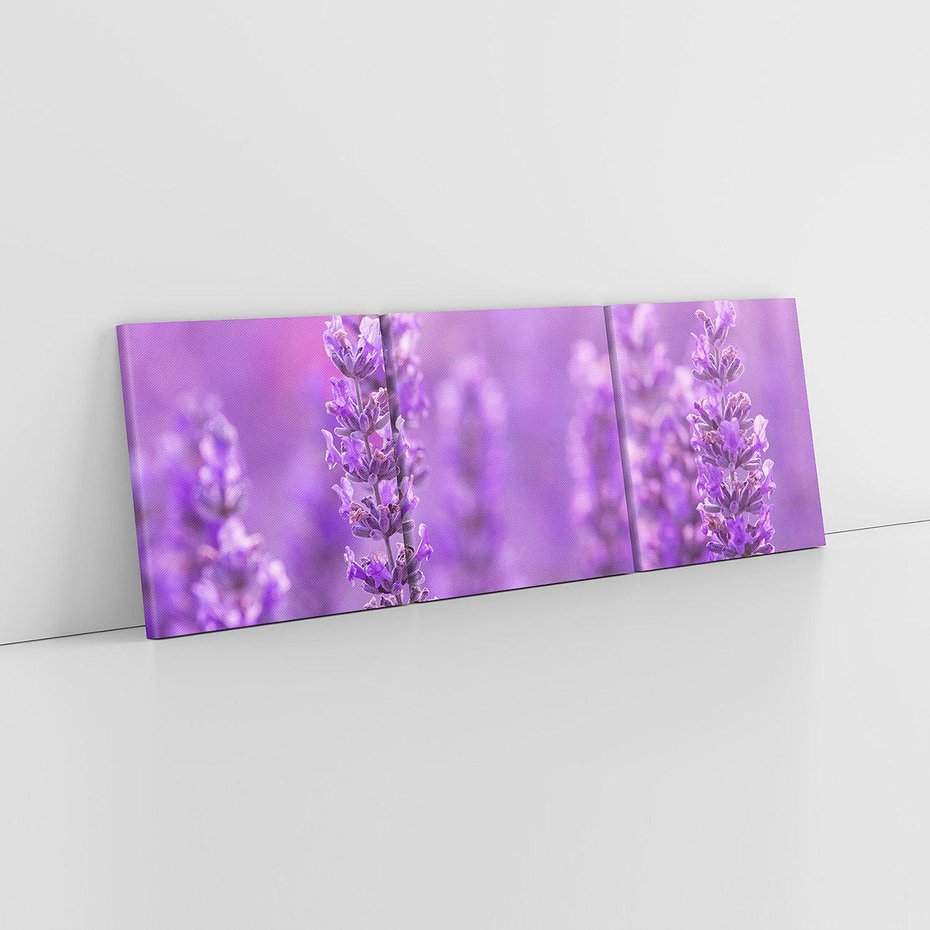Obraz na płótnie 90x30 - Fioletowa harmonia lawendy - lawenda, fiolet
