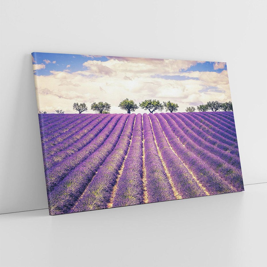 Obraz na płótnie 100x70 - Uroda Lawendy: Kwiatowy Cud Natury - lawenda, kwiaty