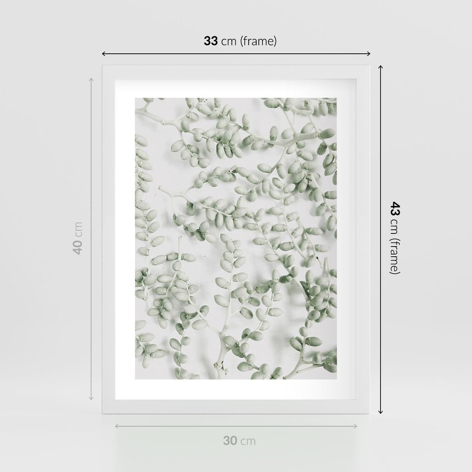 Plakat w ramie 30x40 - Delikatność Zieleni - zielone gałązki, listki - rama biała