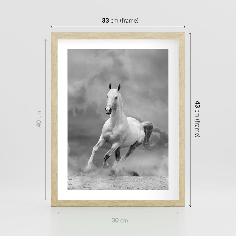 Plakat w ramie 30x40 - Elegancja w Czarno-Białym - koń, biało - rama drewno