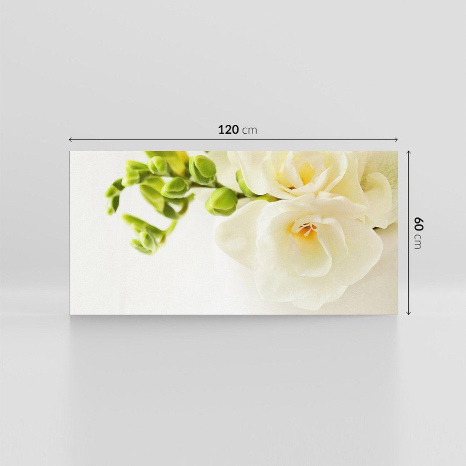 Obraz na płótnie 120x60 - Subtelność białych frezji - frezja, białe