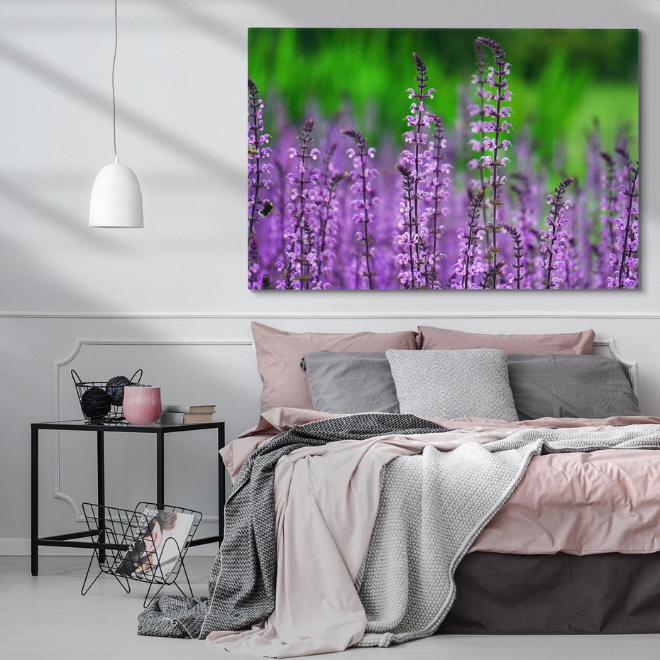 Obraz na płótnie 70x50 - Lawenda magia purpury - lawenda, kwiaty
