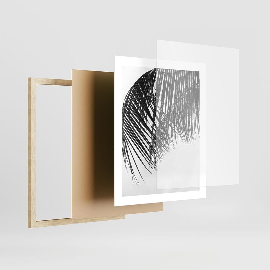 Plakat w ramie 40x50 - Czarno-Biały Kontrast - czarno białe zdjecie, palma - rama drewno