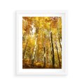 Plakat w ramie 40x50 - Jesienny Las - Kolorowa Paleta Natury - jesień, drzewa - rama biała