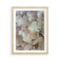 Plakat w ramie 50x70 - Kwiatowy taniec - kwiaty, hortensje - rama drewno