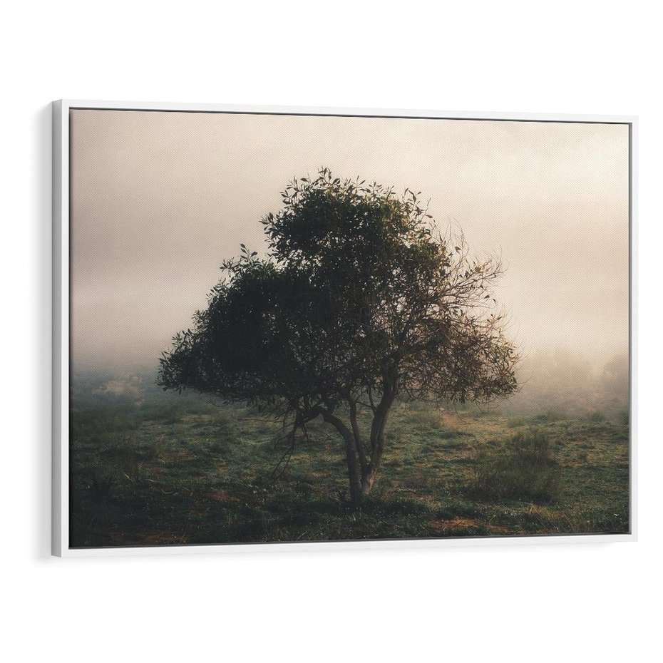 Obraz w ramie 120x80 - Zamglona Prostota - artystyczna fotografia, samotne drzewo na zamglonej łące - rama biała