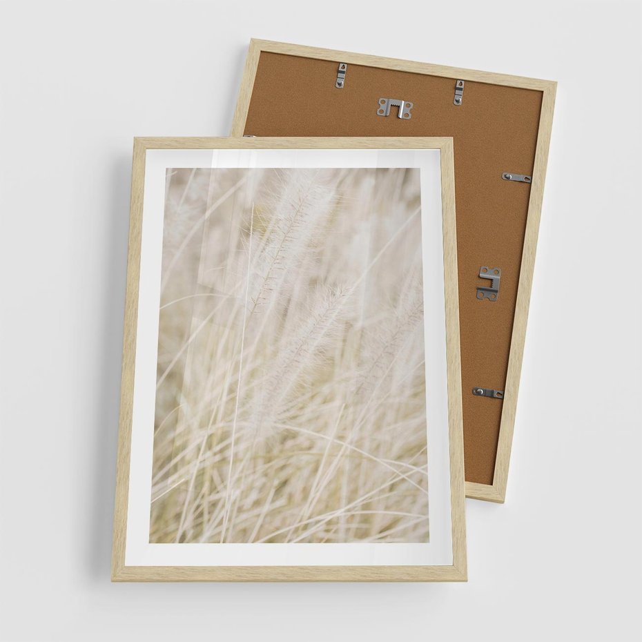 Plakat w ramie 50x70 - Białe Trawy Pampas - suche trawy, białe trawy - rama drewno
