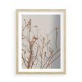 Plakat w ramie 50x70 - Boho gałązki suche - gałązki, suche - rama drewno