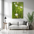 Obraz na płótnie 50x70 - Kolorowa łąka - stokrotki, łąka