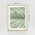 Plakat w ramie 30x40 - Liście Palmy: Egzotyczna Grafika - palma, liście palmy - rama drewno