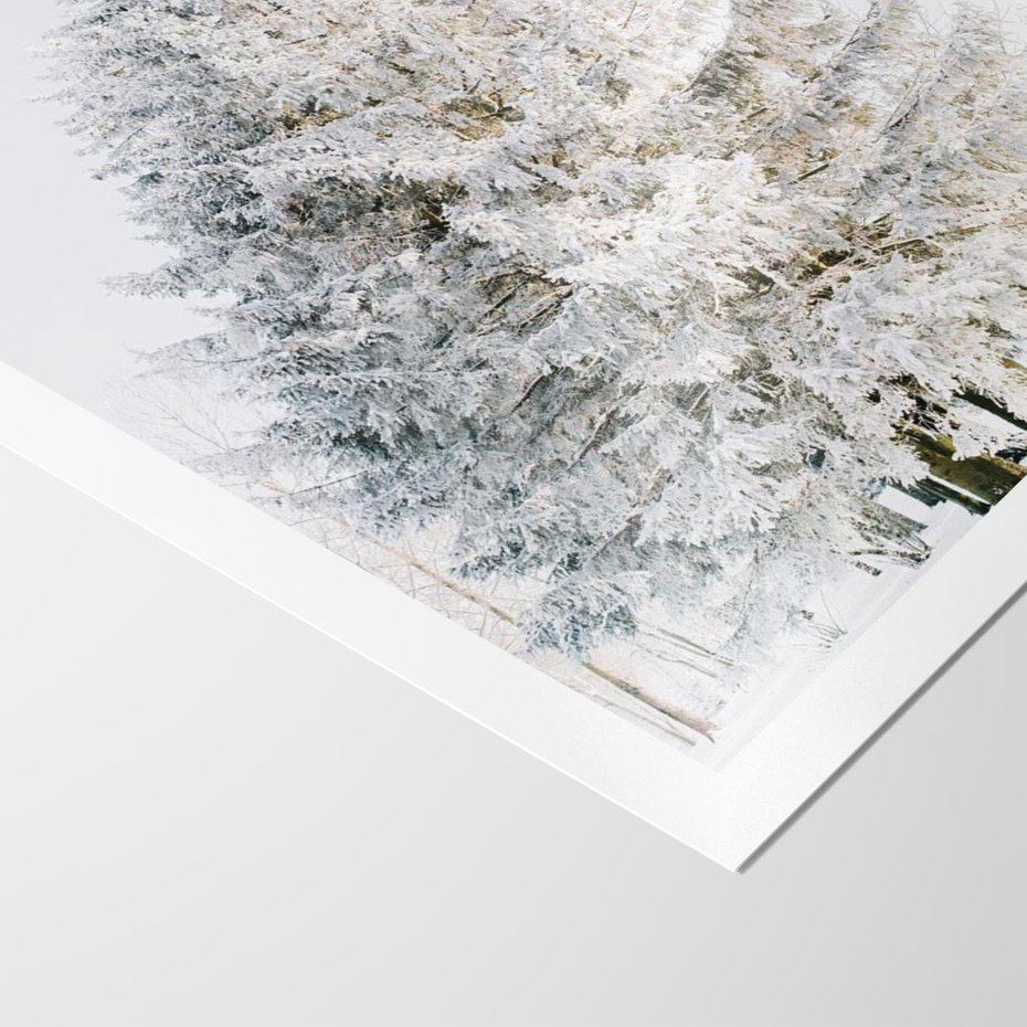 Plakat bez ramy 30x40 - Zimowa Poezja w Ośnieżonym Drzewie - ośnieżone drzewo, zima