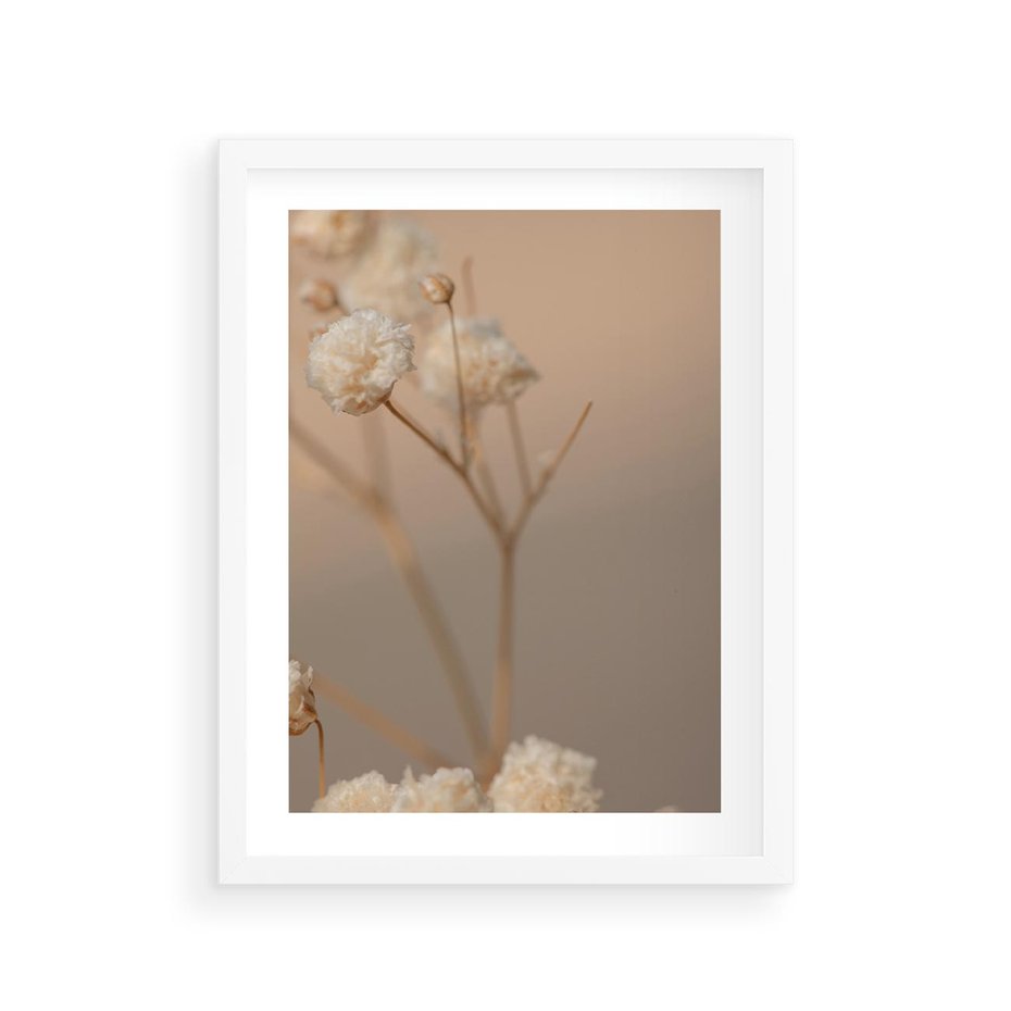 Plakat w ramie 30x40 - Subtelna gipsówka - gipsówka, suche - rama biała