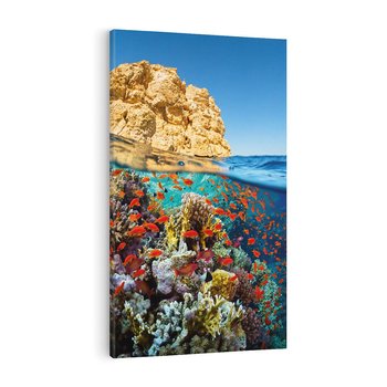 Obraz na płótnie 70x100 - Rafa koralowa w oceanie - rafa, koralowa