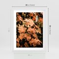 Plakat w ramie 40x50 - Ciepło Jesieni - jesienne pomarańczowe liśćie, jesień - rama biała