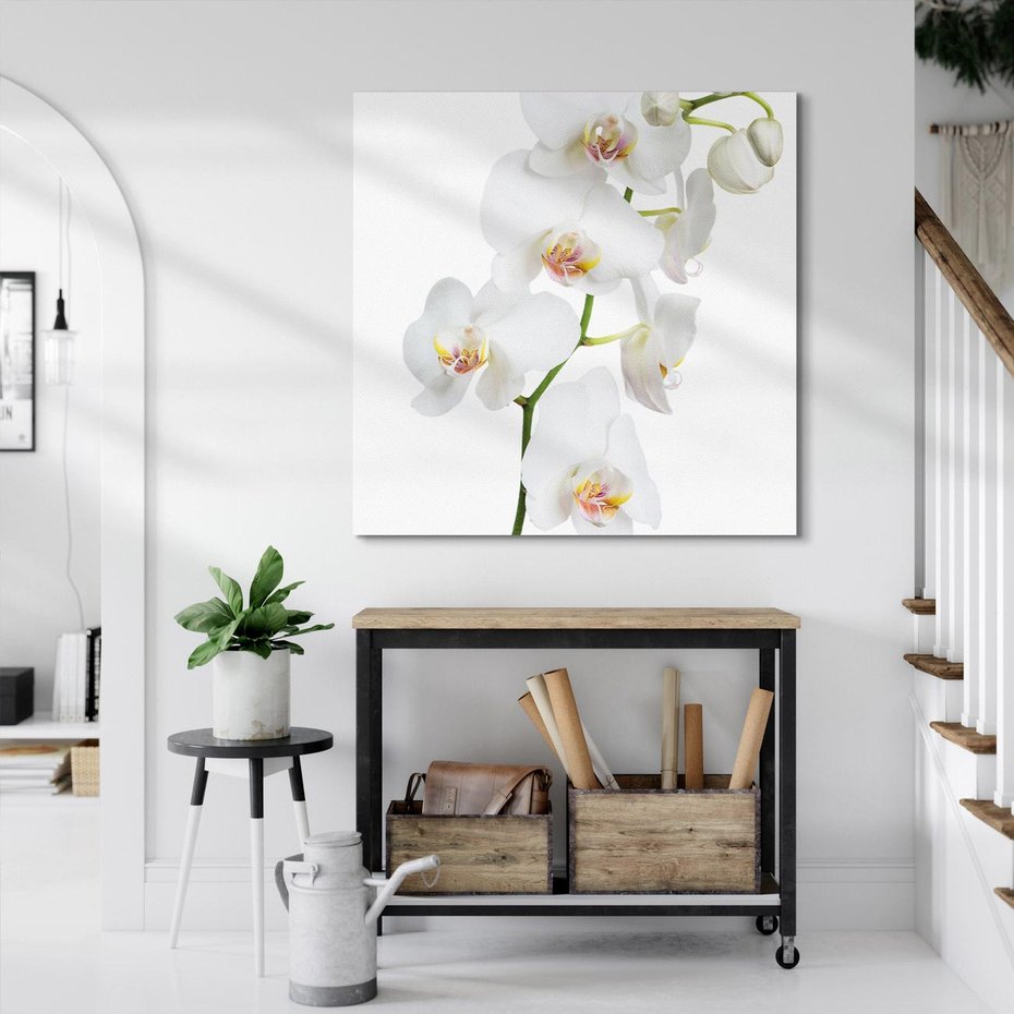 Obraz na płótnie 40x40 - Ekskluzywny Relaks - storczyk, spa