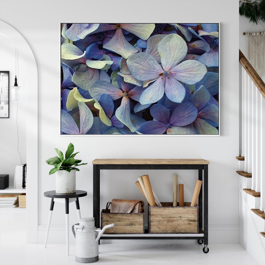 Obraz w ramie 100x70 - Hortensja - delikatność kwiatów - hortensja, kwiaty - rama biała