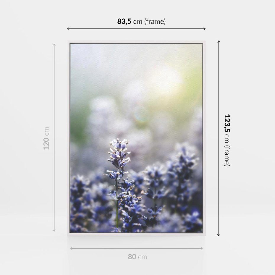 Obraz w ramie 80x120 - Delikatna Uroda Natury - wrzosy, fiolet - rama biała