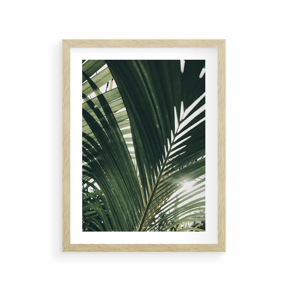 Plakat w ramie 30x40 - Tropikalne Uroki: Palmy i Zielone Liście - palmy, zielone liście - rama drewno