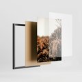 Zestaw obrazy w ramie 40x50 galeria - Jesienna, łąka, liście, boho - rama czarna