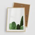 Plakat w ramie 50x70 - Minimalizm Natury - kaktus, zbliżenie - rama drewno
