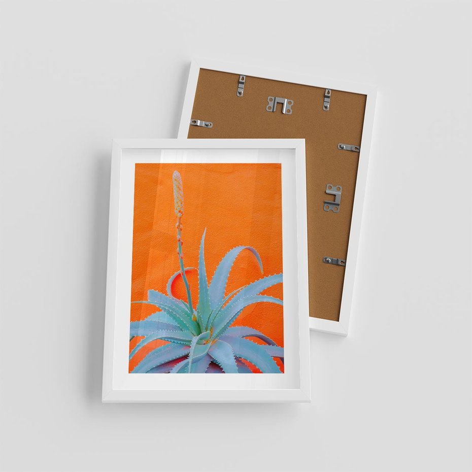 Plakat w ramie 30x40 - Naturalna Harmonia - kaktusy, liście - rama biała