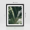 Plakat w ramie 40x50 - Tropikalne Uroki: Palmy i Zielone Liście - palmy, zielone liście - rama czarna
