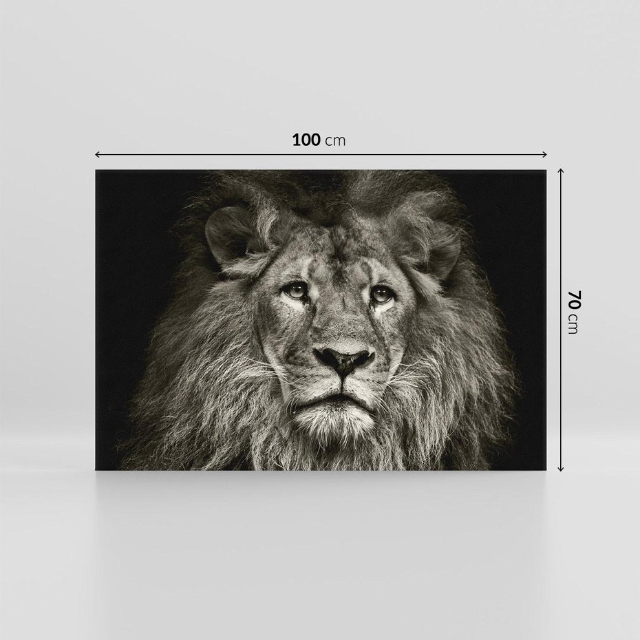 Obraz na płótnie 100x70 - Moc lewego spojrzenia - lew, czarno