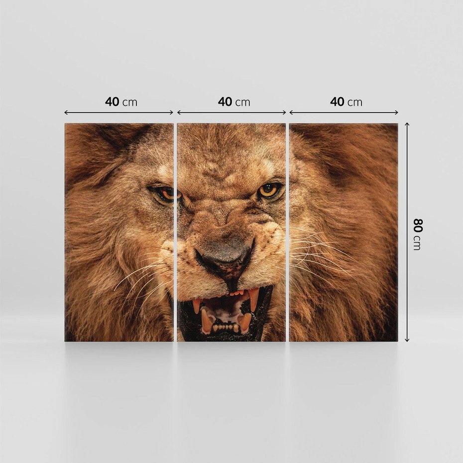 Obraz na płótnie 120x80 - Władca Sawanny - lew, sawanna