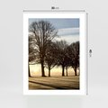 Plakat bez ramy 30x40 - Siła natury - drzewa, pole