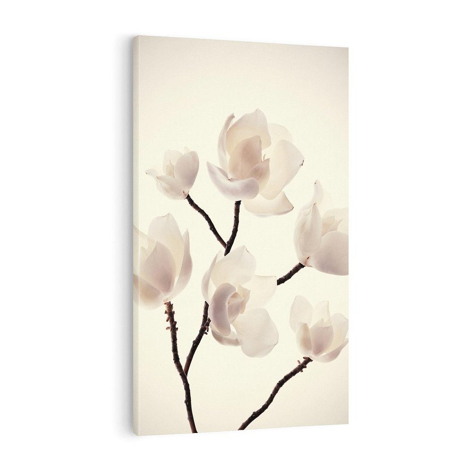 Obraz na płótnie 50x70 - Elegancja Natury - magnolia, białe
