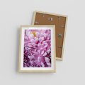 Plakat w ramie 30x40 - Fioletowy zawrót głowy - kwiat, różowy kwiat - rama drewno
