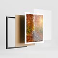 Plakat w ramie 40x50 - Kolorowe drzewa na ścieżce jesieni - las, jesień - rama czarna