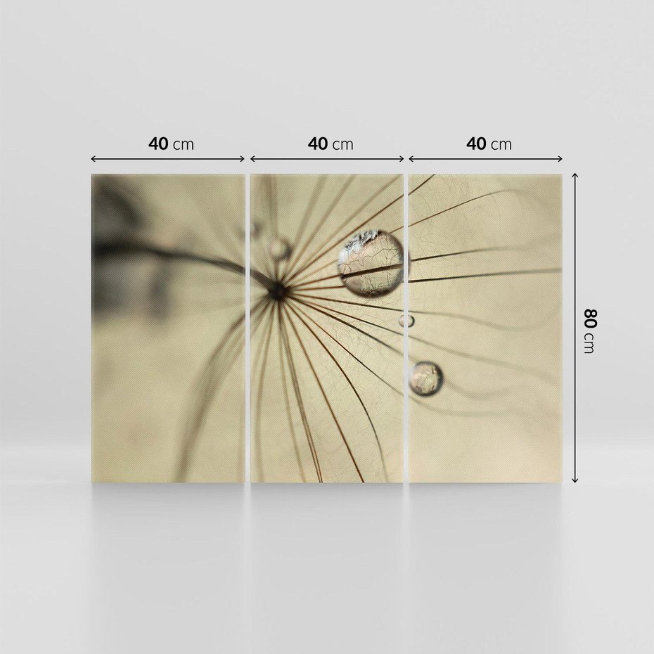 Obraz na płótnie 120x80 - Delikatność dmuchawców - dmuchawce, krople