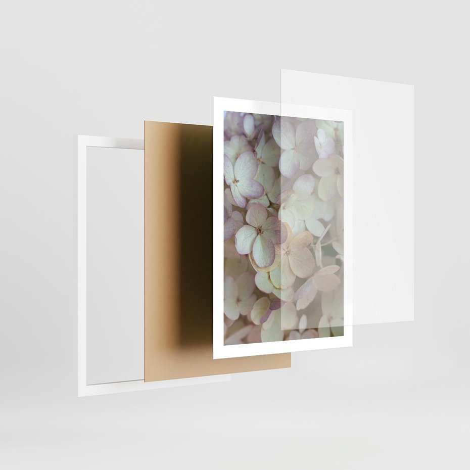 Plakat w ramie 50x70 - Kwiatowy taniec - kwiaty, hortensje - rama biała