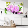 Obraz na płótnie 120x80 - Orchidea w SPA - spa, orchidea