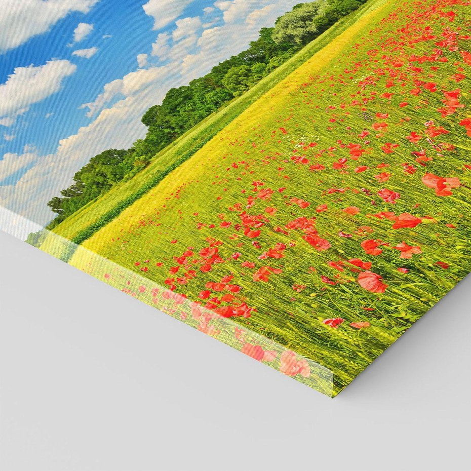 Obraz na płótnie 80x80 - Malownicze maki na łące - maki, łąka