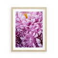 Plakat w ramie 40x50 - Fioletowy zawrót głowy - kwiat, różowy kwiat - rama drewno
