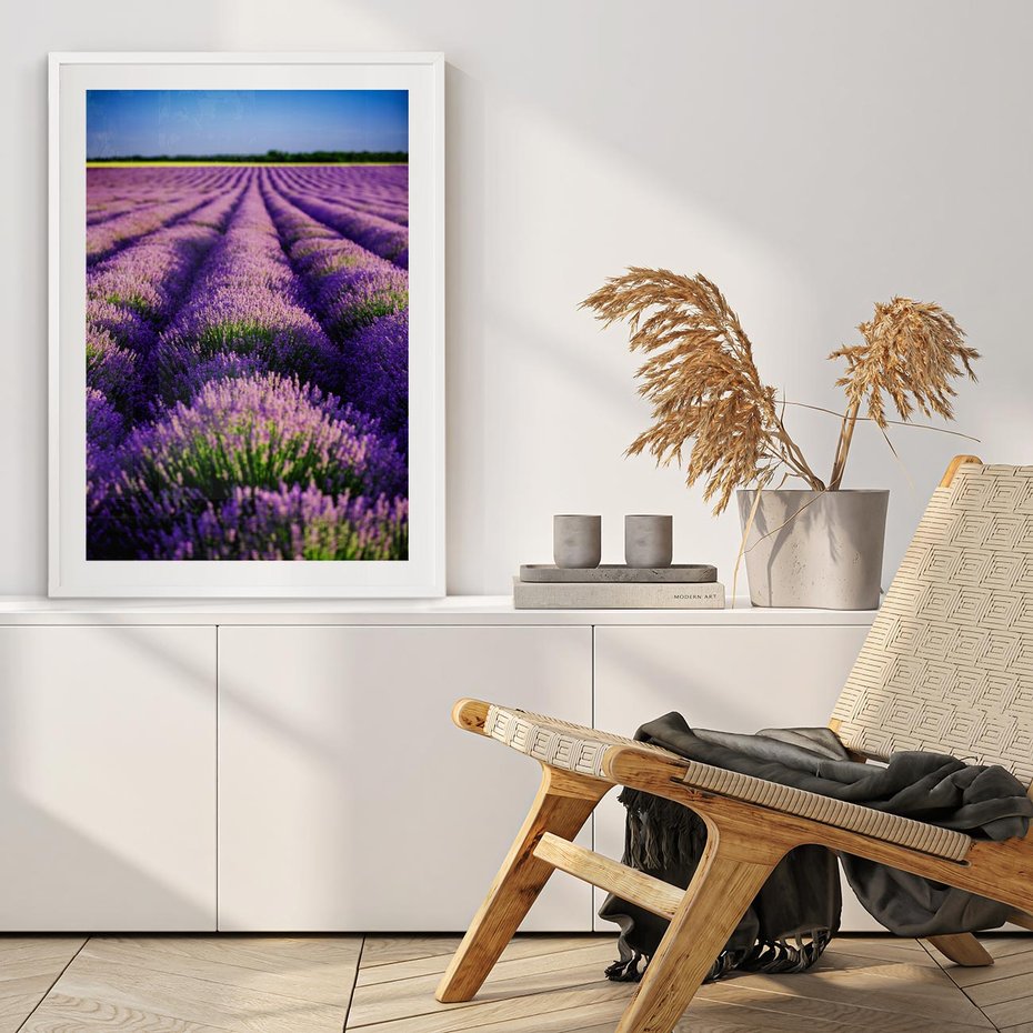 Plakat bez ramy 40x50 - Malownicze Pole Lawendy - lawenda, pole