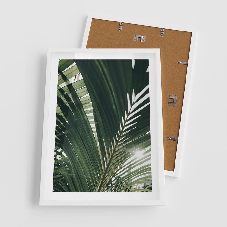 Plakat w ramie 50x70 - Tropikalne Uroki: Palmy i Zielone Liście - palmy, zielone liście - rama biała