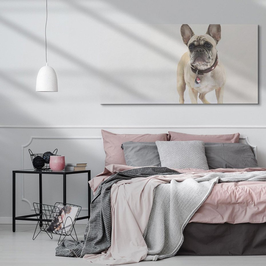 Obraz na płótnie 140x70 - Wernisaż psiego wdzięku - pies, piesek