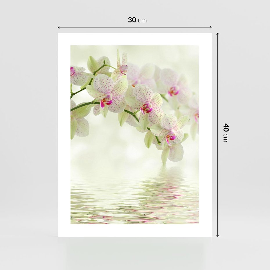 Plakat bez ramy 30x40 - Orchidea w Spa - orchidea, kwiaty