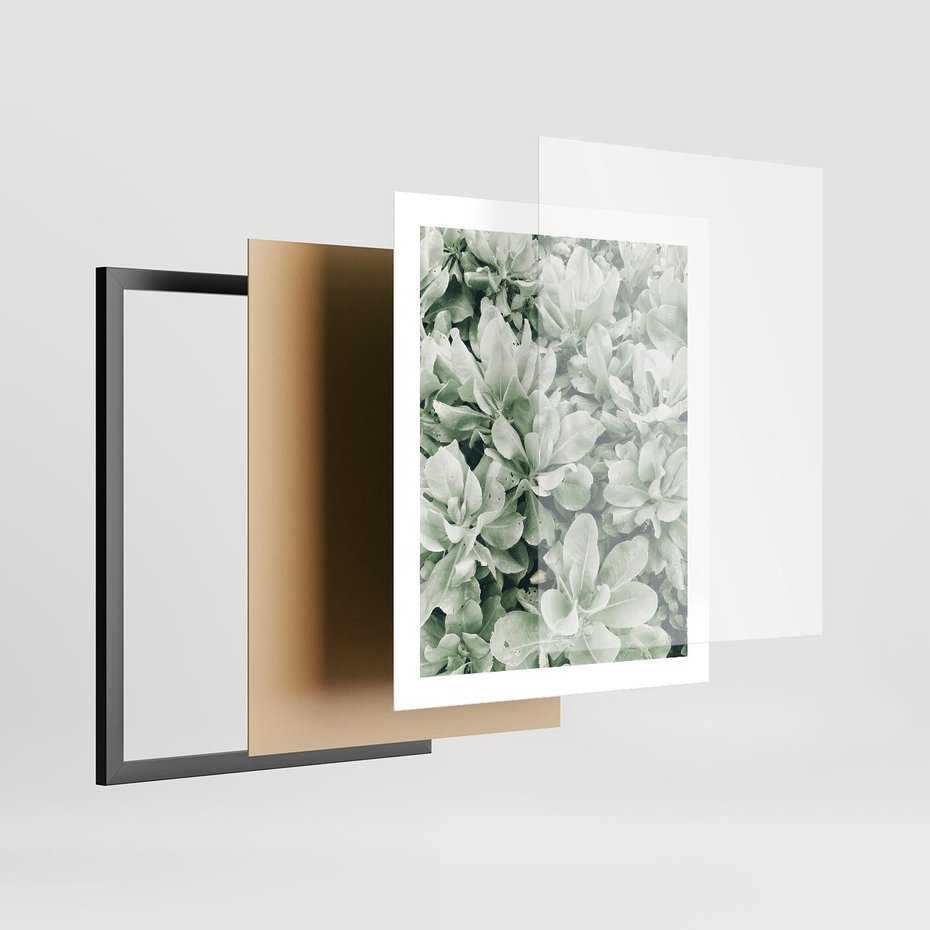 Plakat w ramie 40x50 - Liście w Jasnych Odcieniach Zielonego - liście, jasna zieleń fotografia - rama czarna