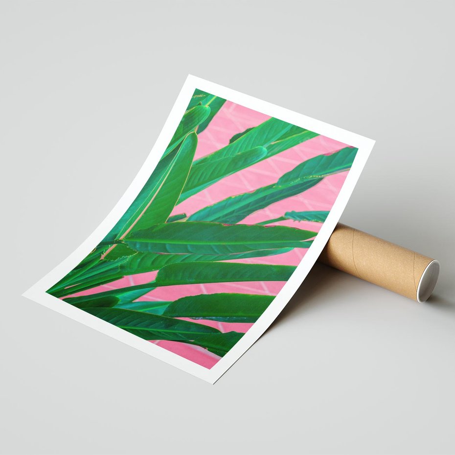 Plakat bez ramy 50x70 - Odezwij się do przeszłości - liście, retro