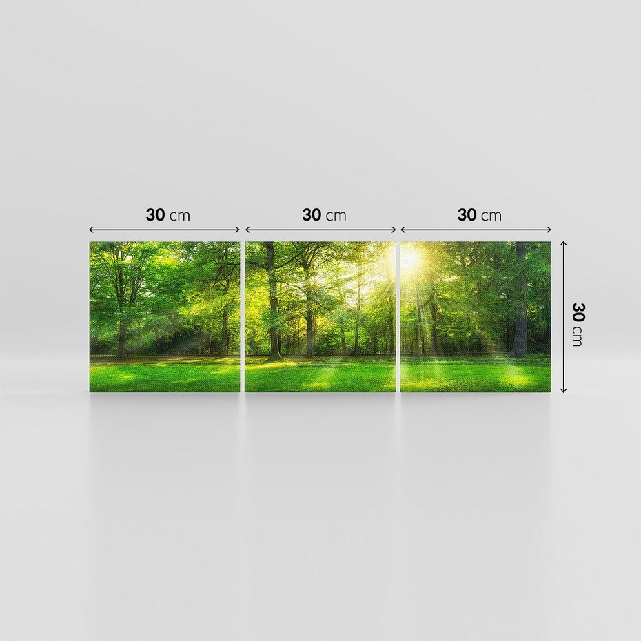 Obraz na płótnie 90x30 - Moc lasu - las, drzewa