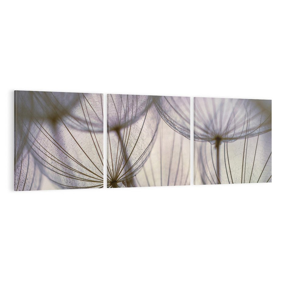 Obraz na płótnie 120x40 - Makro dmuchawiec - piękno drobnych detali - dmuchawce, makro