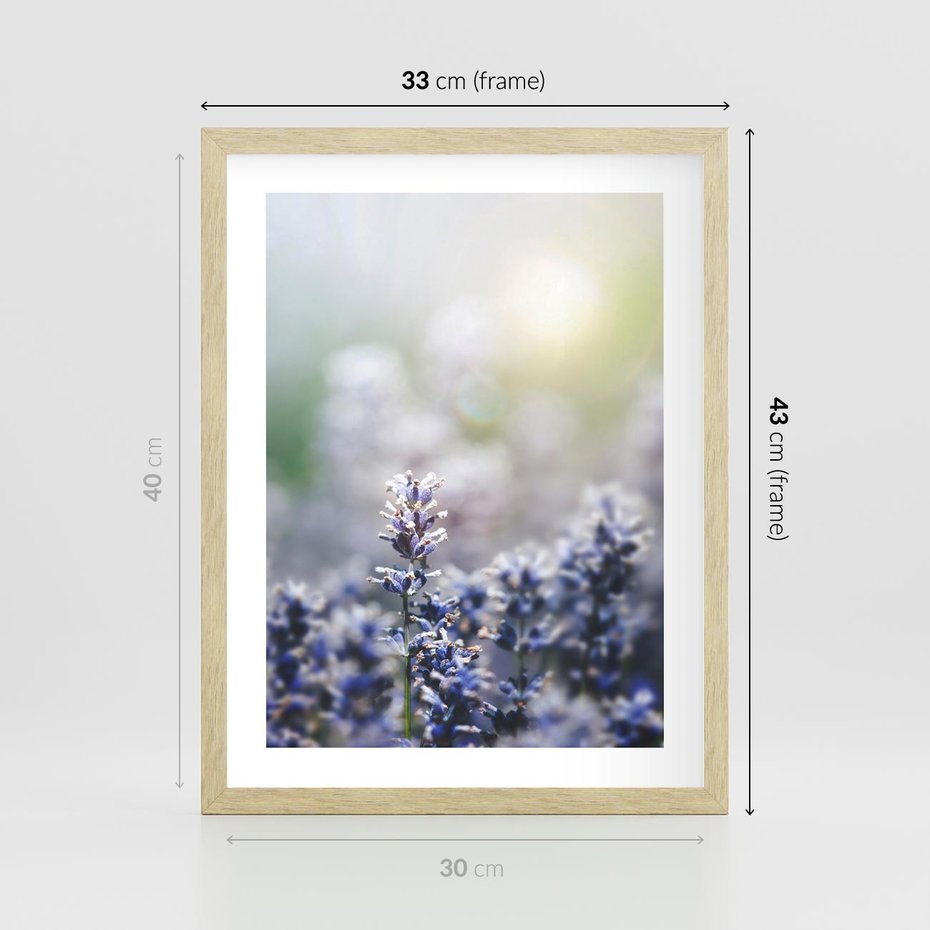 Plakat w ramie 30x40 - Delikatna Uroda Natury - wrzosy, fiolet - rama drewno