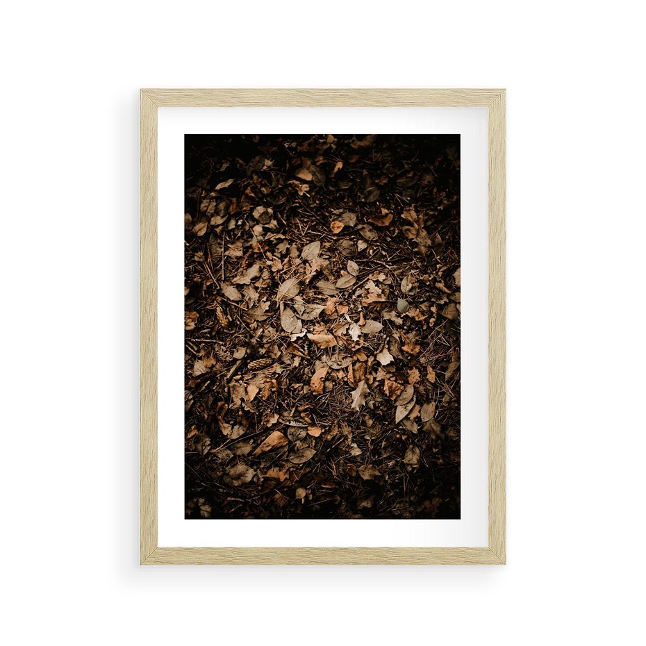 Plakat w ramie 30x40 - Brązowe Liście w Scenerii - suche liście jesień brąz - rama drewno