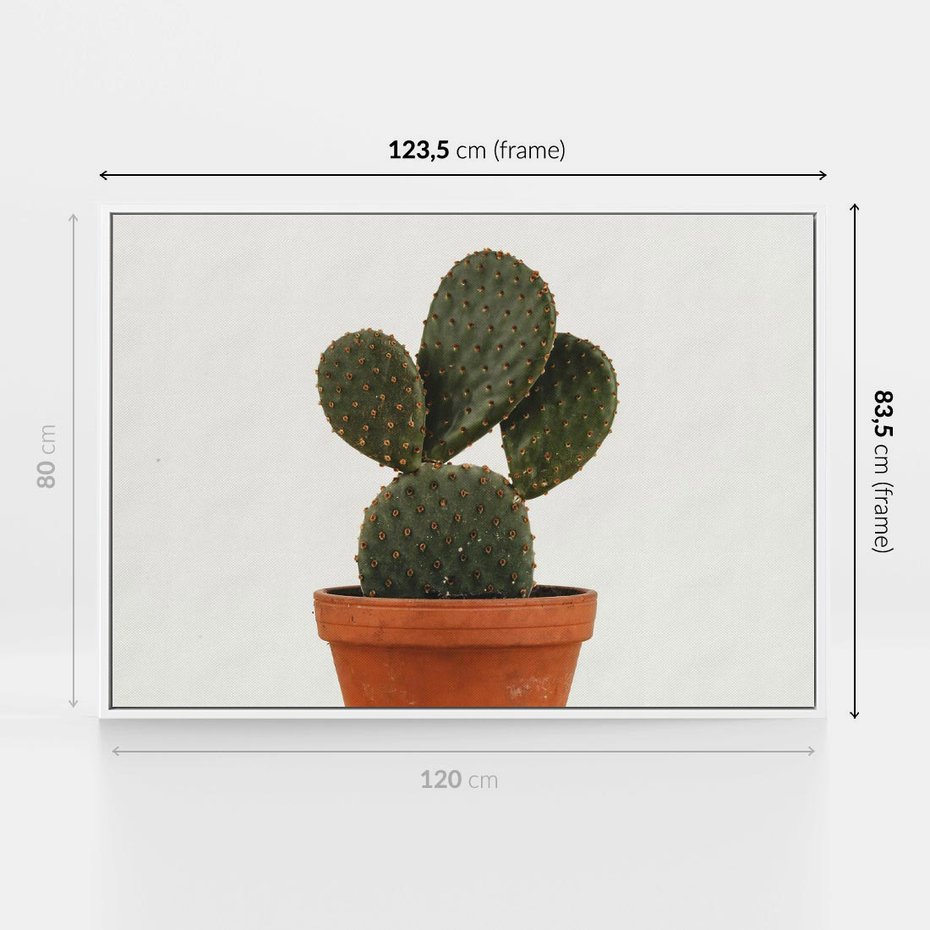 Obraz w ramie 120x80 - Kwiatowy taniec kaktusa - kaktus, kwiat - rama biała