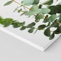 Obraz na płótnie 80x120 - Żywa eukaliptusowa zieleń - eukaliptus, zielone