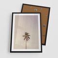 Plakat w ramie 50x70 - Samotna Palma pod Niebem - samotna palma, na tle nieba - rama czarna